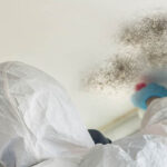 Why hiring Professional Mold removal service is important?