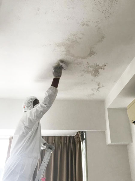 Technician applying anti-mold removal paint to a mold-affected surface