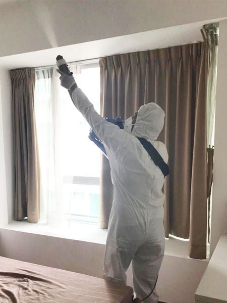 Technician bio fogging to a mold-affected surface