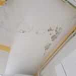Tips to protect the Building from the Mold Growth