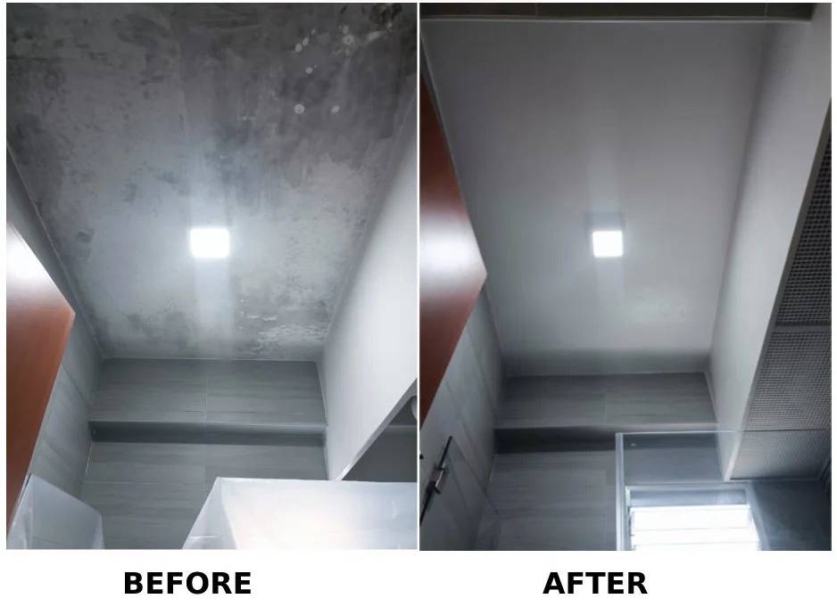 Bathroom-mold- removal